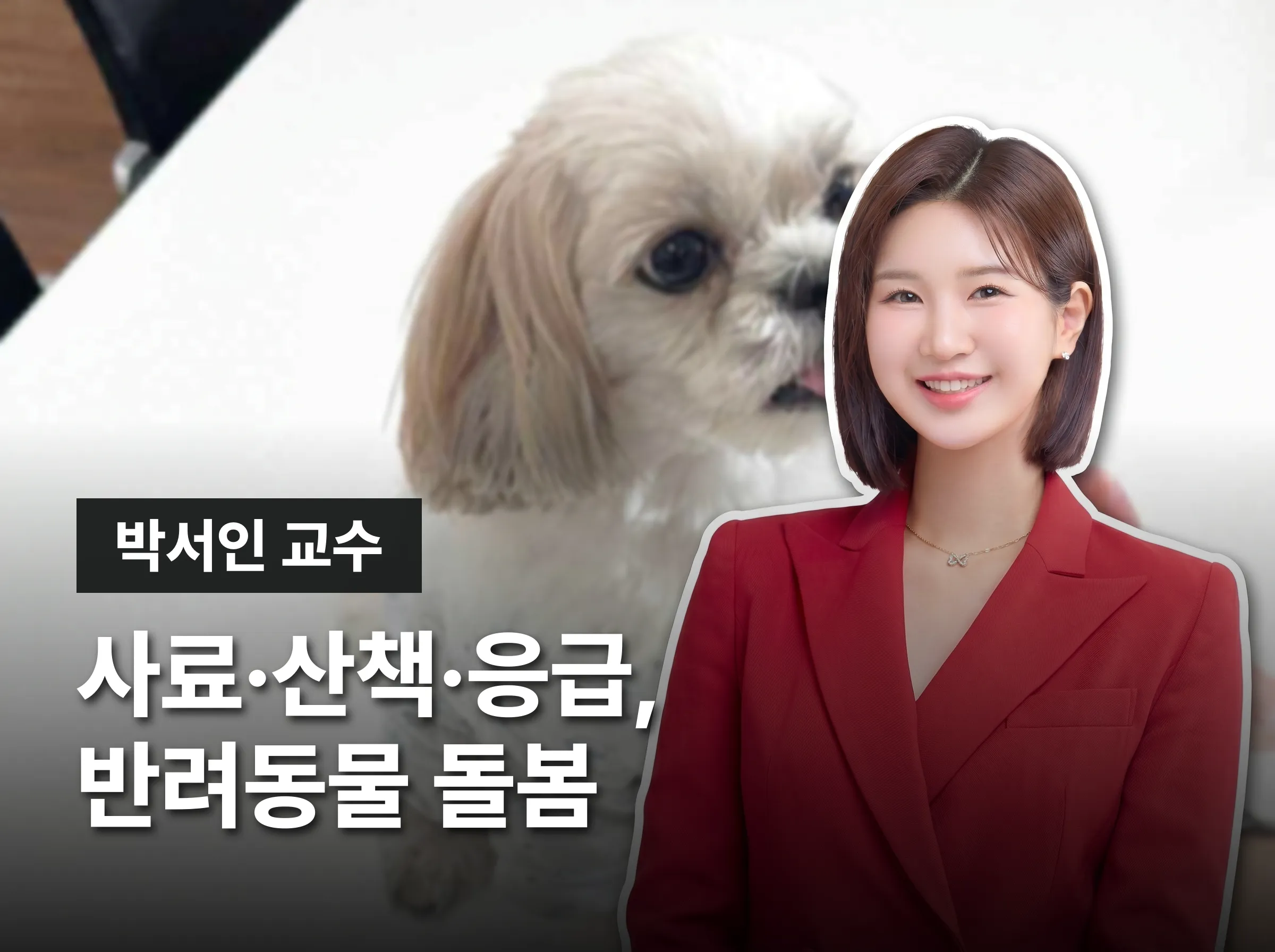 펫시터
